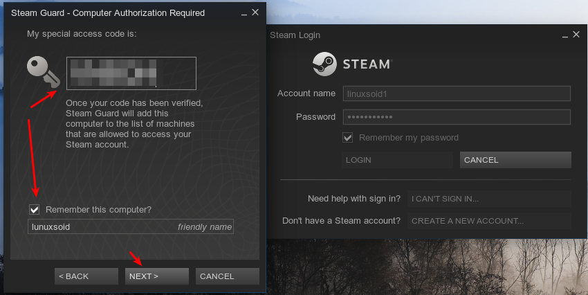 Вводим секретный код Steam