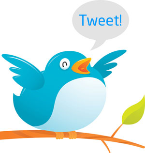 твиттер клиент Birdie 2.0 для Linux