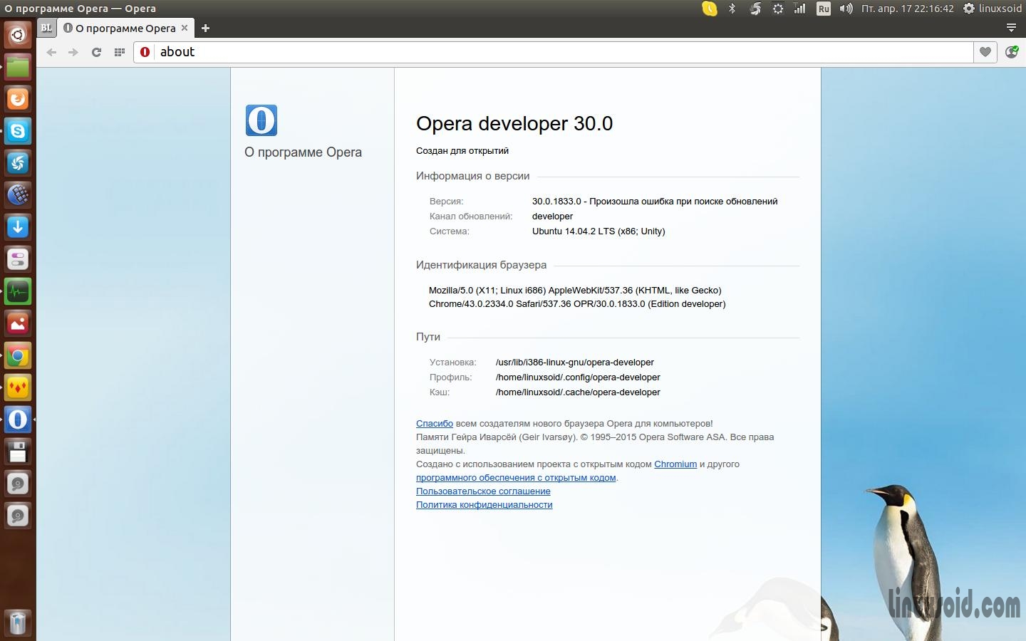 О браузере Opera developer 30.0