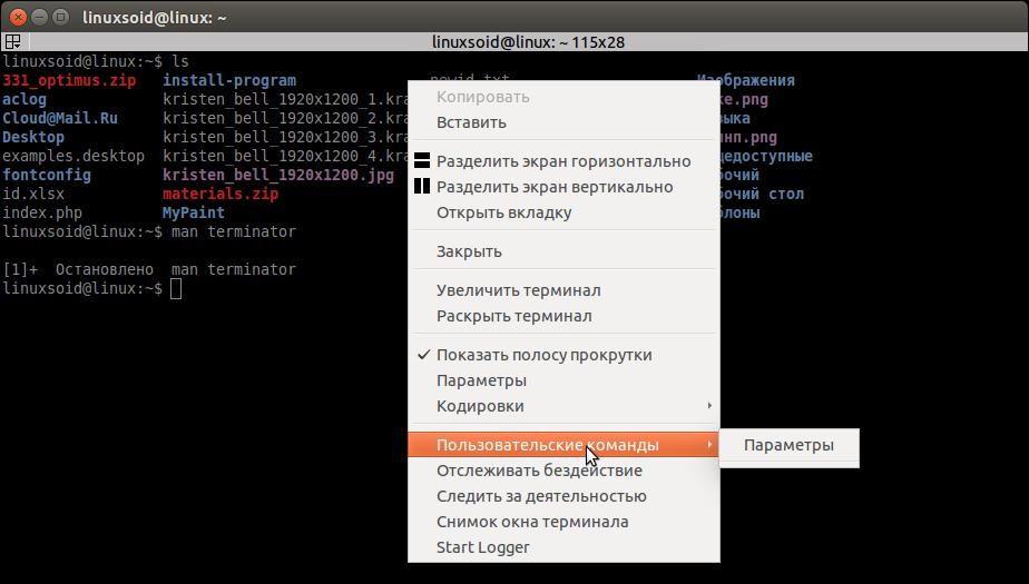 Дополнительный функционал терминала Terminator в Ubuntu